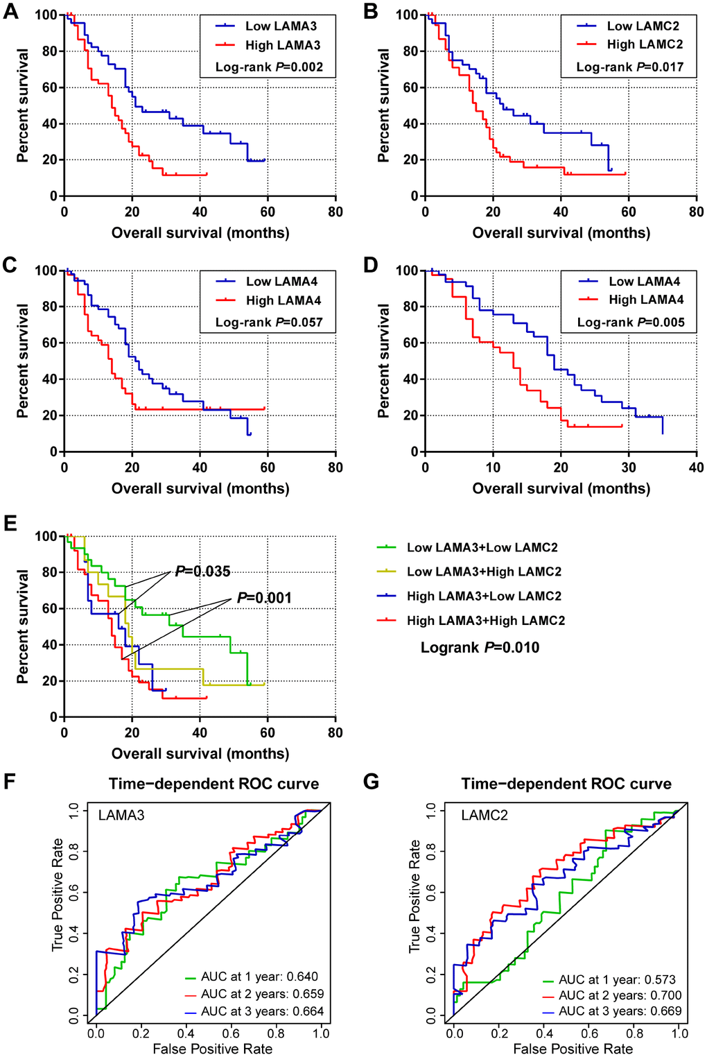 Survival and survivalROC analysis of LAMA3 and LAMC2 expression in the GSE21501 PDAC cohort. (A–C) Kaplan–Meier survival curves for OS of the LAMA3, LAMC2 and LAMA4 gene expression groups. (D) Kaplan–Meier survival curves for 3-year OS for LAMA4 expression groups. (E) Kaplan–Meier survival curves for OS of the combined LAMA3 and LAMC2 gene expression groups. (F–G) Time-dependent ROC curve for LAMA3 and LAMC2 expression in PDAC patients.