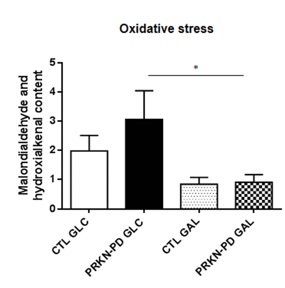 Oxidative stress measured through lipid peroxidation in control and PRKN-PD fibroblasts. In glucose, PRKN-PD exhibited an upward trend in lipid peroxidation compared to control fibroblasts while exposure to galactose significantly reduced oxidative stress levels in PRKN-PD compared to glucose. The results are expressed as means and standard error of the mean (SEM). *= p
