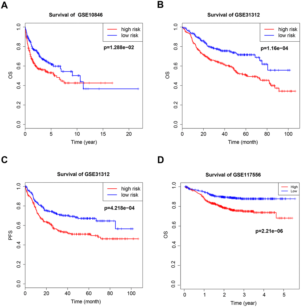 Kaplan–Meier curves of overall survival (OS) and progression-free survival (PFS) for high-risk and low-risk GSE10846 (A), GSE31312 (B, C) and GSE117556 (D) patients.