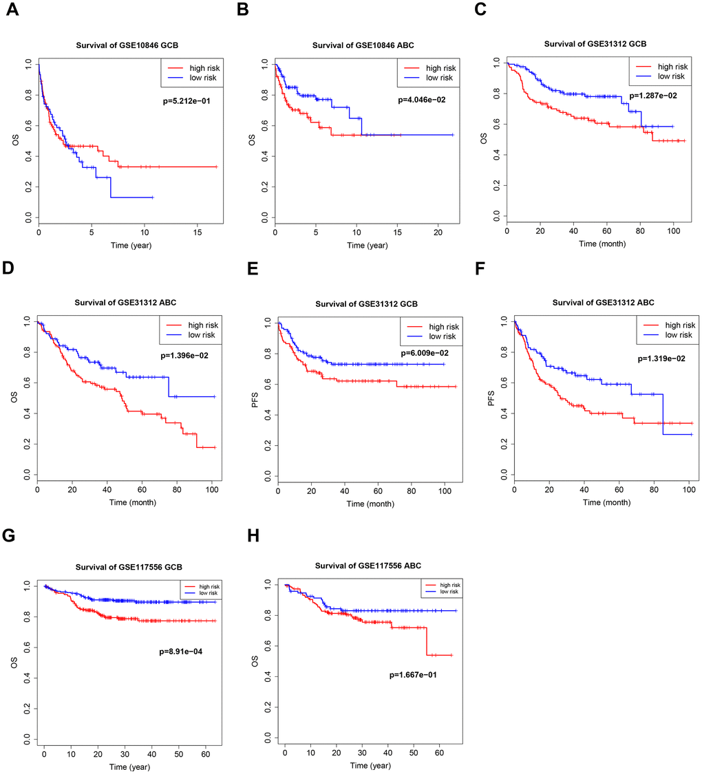 Kaplan–Meier curves of overall survival (OS) and progression-free survival (PFS) in high-risk and low-risk GSE10846 (A, B), GSE31312 (C–F), and GSE117556 (G, H) patients with different cancer subtypes.