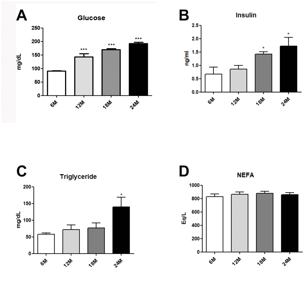 Changes of aging-related serum parameter in insulin resistance and lipogenesis. (A) Fasting glucose levels (B) insulin levels (C) triglycerides (D) FFA level in the serum of aging rats (each n = 6). Results of one- factor ANOVA: *p ***p 