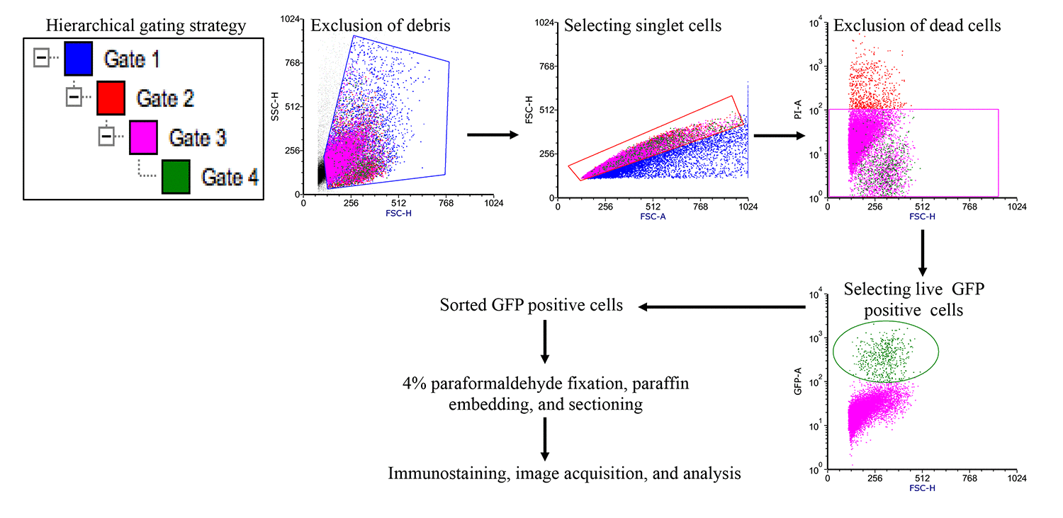 class="figure-viewer-img"