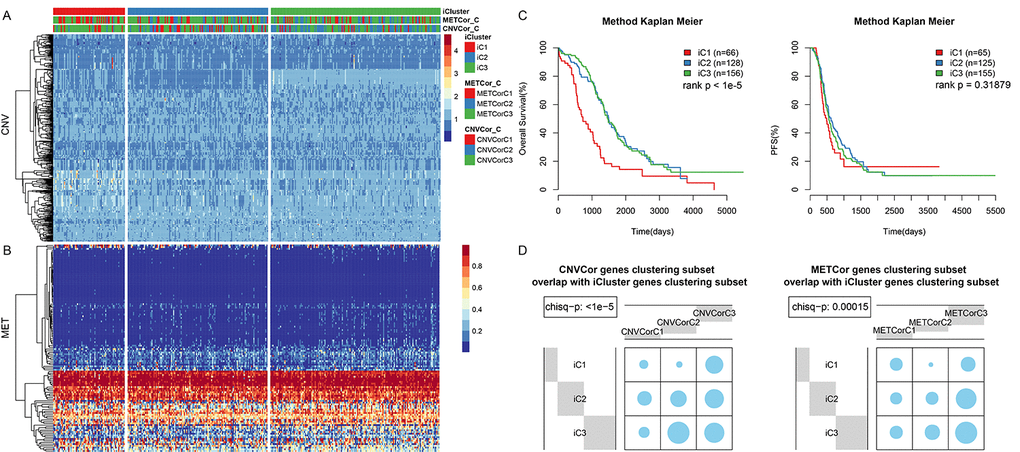 OV sample molecular typing results in multiple datasets. (A) Expression heatmap for CNVcor gene subsets identified by iCluster. (B) Expression heatmap for METcor gene subsets identified by iCluster. (C) OS and PFS curves for subtypes identified by iCluster. (D) Overlap between METcor and CNVcor gene subsets with iCluster gene subsets. Blue circles represent the proportion of overlapping samples between two clusters; significance was determined using the Kolmogorov-Smirnov test.