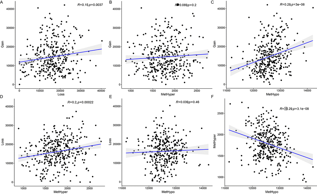 Associations between aberrations in DNA copy number and DNA methylation in ovarian carcinoma. (A) Frequency distribution of CNV Gain and CNV Loss. (B) Frequency distribution of CNV Gain and MetHyper. (C) Frequency distribution of CNV Gain and MetHypo. (D) Frequency distribution of CNV Loss and MetHyper. (E) Frequency distribution of CNV Loss and MetHypo. (F) Frequency distribution of MetHyper and MetHypo. Larger correlation coefficients (R values) indicate stronger correlations; the log rank P test was used.