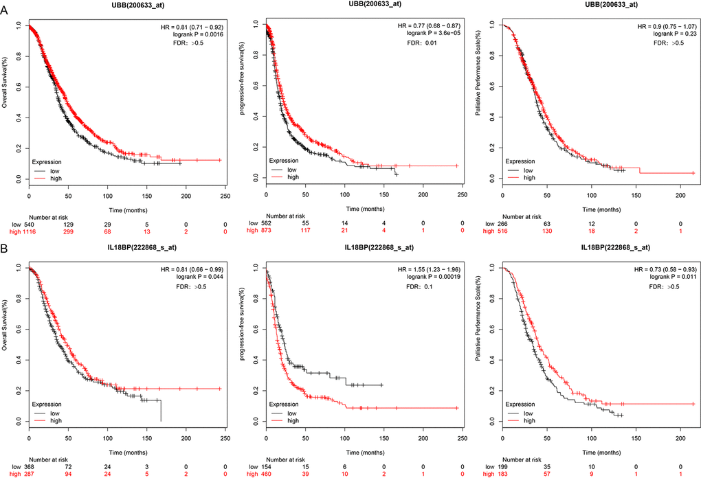 UBB and IL18BP gene survival curves in the KMplot dataset. (A) OS, PFS, and PPS curves for the UBB gene in a dataset from the KMplot database. Survival time is plotted on the x-axis; OS, PFS, and PPS are plotted on the y-axis. (B) OS, PFS, and PPS curves for the IL18BP gene in the KMplot dataset. Survival times are plotted on the x-axes; OS, PFS, and PPS are plotted on the y-axes. Differences were identified using the log rank P test.