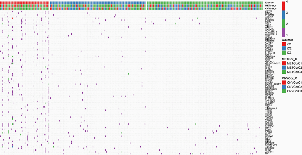 Genes with differential mutations in the iC1 and iC3 molecular subtypes. Different colors represent different numbers of mutations in the corresponding genes. iCluster indicates multi-omics molecular subtype, METcor