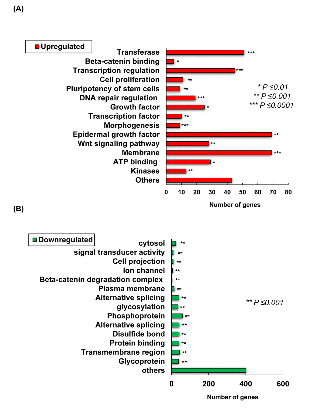  Transcriptome changes induced by TCQA, 1235 genes were significantly selected: 435 were upregulated and 800 downregulated. (A) Summary of the functional categories of upregulated genes in response to TCQA treatment. (B) Summary of the functional categories of downregulated genes in response to TCQA treatment. Analyses for the down and upregulated genes were performed individually using Database for Annotation, Visualization and Integrated Discovery v6.8 (DAVID). Bars represent the number of genes implicated in each category. *Statistically significant (P ≤0.01). **Statistically significant (P ≤0.001). ***Statistically significant (P ≤0.0001). 