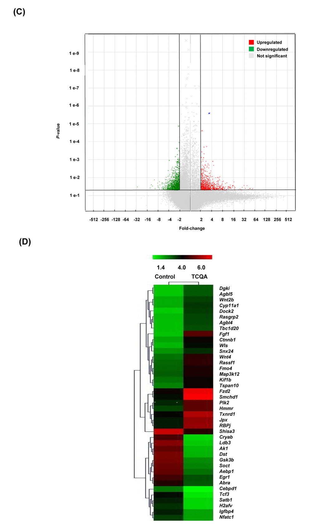  Transcriptome changes induced by TCQA, 1235 genes were significantly selected: 435 were upregulated and 800 downregulated. (C) Hierarchical clustering of the genes altered after treatment with TCQA using Euclidean distance and average linkage algorithm of the TIGR Mev version 3.0.3 software (The Institute for Genomic Research, MD, USA). Horizontal stripes represent genes and columns represent control and TCQA. The significant fold change in gene expression is 2-fold change (control vs TCQA). (D) The volcano plot represents the regulated genes between the control and TCQA. The red color represents the upregulated genes, the green color the downregulated genes, and the grey color the unregulated genes. The expression of the genes above or below, left or right, the lines differed more than 2-fold change between the control and TCQA group.