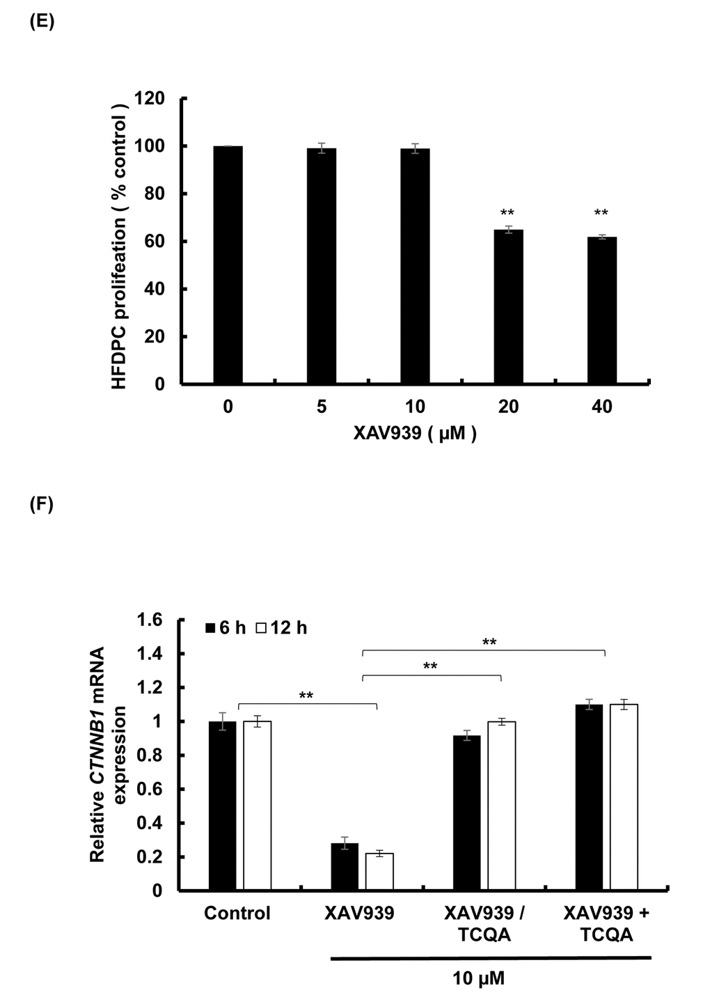 TCQA stimulated β-catenin expression in human hair follicle dermal papilla cells (HFDPCs) (E) Cell proliferation of HFDPC was assessed after 48 h treatment with various concentrations of XAV939 (β-catenin inhibitor). (F) Gene expression expressions of CTNNB1 (β-catenin) after treatment with 10 µM XAV939 for 6 and 12 h, with 10 µM XAV939 for 6 and 12 h then with 10 µM TCQA for 6 h and 12 h (XAV939/TCQA), and finally with co-treatment of 10 µM XAV939 and 10 µM TCQA for 6 and 12 h (XAV939+TCQA). Results represent the mean ± SD of three independent experiments. *Statistically significant (P ≤0.05) difference between control and treated cells. **Statistically significant (P ≤0.01) difference between control and treated cells. ##Statistically significant (P ≤0.01) difference between Minox-treated cells and TCQA-treated cells.