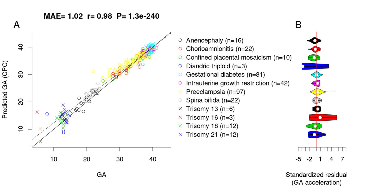 Placental clocks estimating gestational age using placental DNA methylation levels