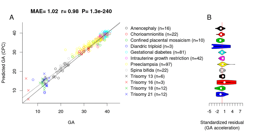 Effect of pregnancy condition on the GA estimate by CPC. (A) Scatter plot between GA and DNAm-predicted GA (CPC) across all trimesters. (B) Violin plot of GA acceleration (standardized residual) for each pregnancy condition.