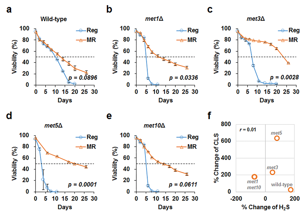 MR successfully increases CLS despite defective sulfur assimilation. CLS measured under regular (blue line) and MR (orange line) conditions in wild-type (a), met1Δ (b), met3Δ (c), met5Δ (d), and met10Δ (e) strains. The horizontal dotted line represents 50% viability. The graph indicates mean ± SEM. Statistical p-values between median CLS in regular and MR condition were calculated using two-tailed Student’s t-test. (f) For each strain, we plotted the change in hydrogen sulfide levels (x-axis) and change in CLS (y-axis) under MR conditions against regular condition. The Pearson’s correlation coefficient (r) was observed to be 0.01.