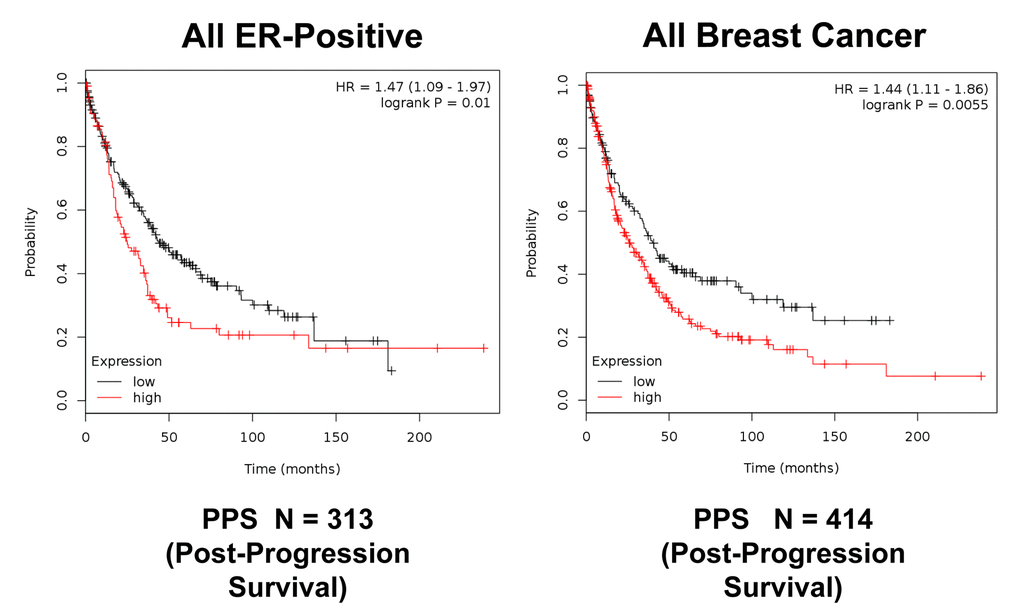 K‐M analysis of post‐progression survival (PPS) using a Mito‐Signature in ER(+) and all breast cancer patients, independently of treatment. Patients with high‐expression levels of the Mito‐Signature showed near 1.5‐fold reductions in post‐progression survival. Left, ER(+) (N = 313 patients; p = 0.01). Right, all breast cancer (N = 414 patients; p = 0.0055).