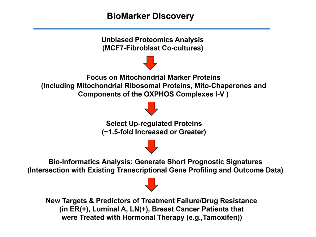 A proteomics‐based approach to the development of new breast cancer companion diagnostics, for predicting Tamoxifen‐resistance. For this analysis, data from the proteomics analysis of MCF7‐ fibroblast co‐cultures was intersected with clinical outcome data. More specifically, the clinical population we focused included ER(+) patients, of the luminal A sub‐type, that were lymph‐node positive (LN(+)) at diagnosis, who were treated with Tamoxifen and followed over nearly 200 months. In this context, we ultimately evaluated the prognostic value of a mitochondrial signature for predicting tumor treatment failure (recurrence, metastasis or overall survival).