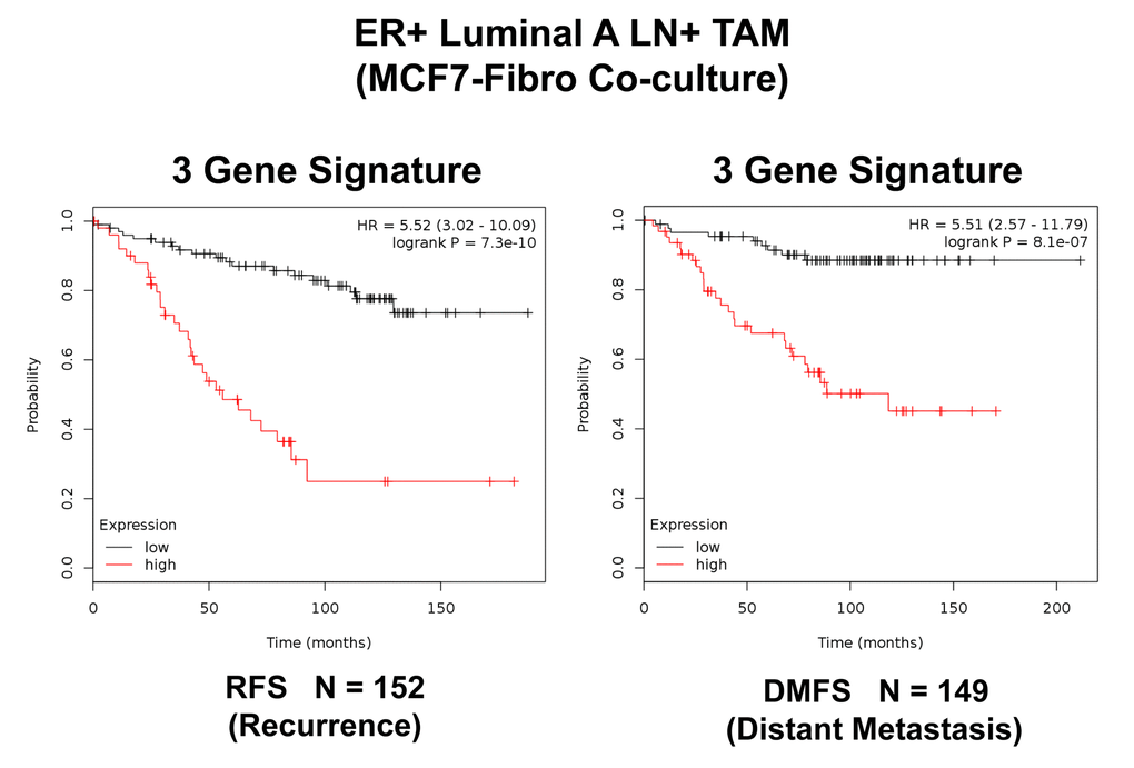 A three‐gene based mitochondrial signature (Mito‐Signature) that effectively predicts recurrence and distant metastasis in high‐risk ER(+) breast cancer patients. Note that this Mito‐Signature (HSPD1/VDAC2/CPT1A) predicts tumor recurrence (Left; N = 152 patients; p = 7.3e‐10) and distant metastasis (Right; N = 149 patients; p = 8.1e‐07) in LN(+) luminal A patients treated with Tamoxifen therapy, indicative of treatment failure and Tamoxifen‐resistance. Patients with high‐expression levels of the Mito‐Signature showed a >5‐fold increase in recurrence and distant metastasis, while being treated with hormonal therapy. See also Tables 3 and 4. RFS, reccurence‐free survival; DMFS, distant metastasis‐free survival.