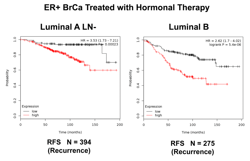 K‐M analysis of a Mito‐Signature that shows predictive value in Luminal A (LN‐negative) and Luminal B breast cancer patients, who were treated with hormonal therapy. Left, Luminal A/LN‐negative (N = 394 patients; p =0.00023). Right, Luminal B (N = 275 patients; p = 5.4e‐06). Patients with high‐expression levels of the Mito‐ Signature showed a clear increase in recurrence, while being treated with hormonal therapy. RFS, recurrence‐free survival.