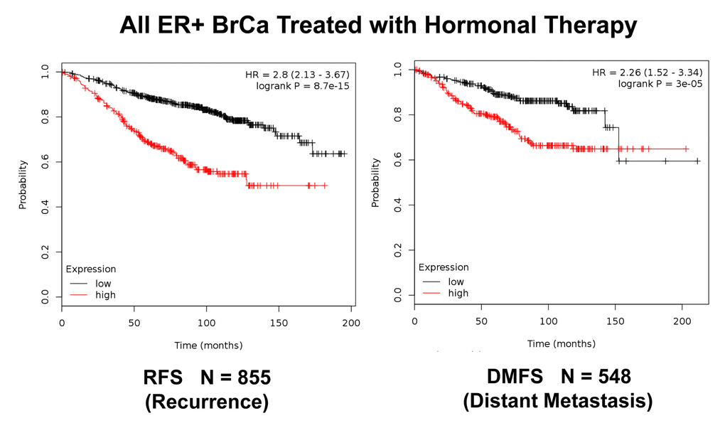 K‐M analysis of recurrence and metastasis using a Mito‐Signature in a larger group of ER(+) breast cancer patients, who were treated with hormonal therapy. These patients were not sub‐divided into luminal A/B subgroups and were not sub‐divided by lymph‐node status. Note that this Mito‐Signature effectively predicts tumor recurrence (Left; N = 855 patients) and distant metastasis (Right; N = 548 patients). Patients with high‐ expression levels of the Mito‐Signature showed a near 3‐fold increase in recurrence (p = 8.7e‐15) and a >2‐fold increase in distant metastasis (p = 3e‐05), while being treated with hormonal therapy.