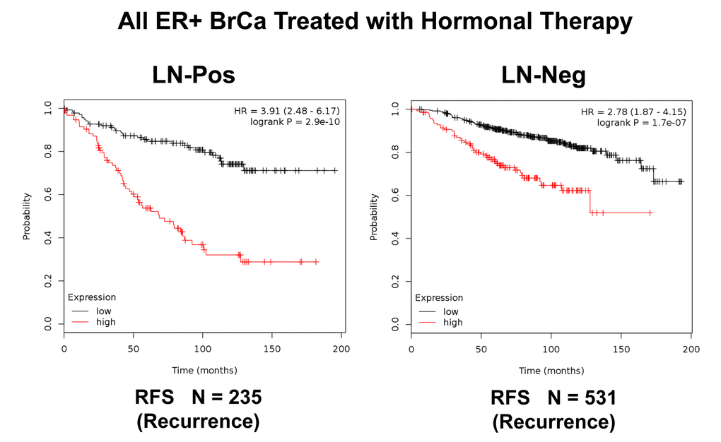 K‐M analysis of recurrence using a Mito‐Signature in a larger group of ER(+) breast cancer patients, that were divided into sub‐groups by lymph node status, who were treated with hormonal therapy. These patients were not sub‐divided into luminal A/B subgroups. Left, LN‐positive (N = 235 patients). Right, LN‐negative (N = 531 patients). Note that LN‐positive patients with high‐expression levels of the Mito‐Signature showed a near 4‐fold increase in recurrence, while being treated with hormonal therapy (p = 2.9 e‐10). Similar results were observed in LN‐negative patients, with a near 3‐fold increase in recurrence (p = 1.7e‐07). RFS, reccurence‐free survival.