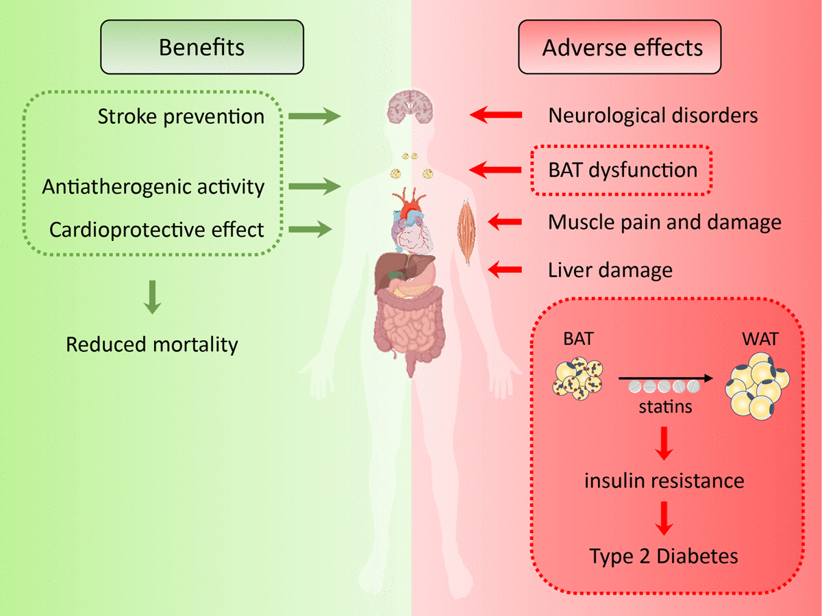 Statins benefits and risks revisited Figure f1 Aging