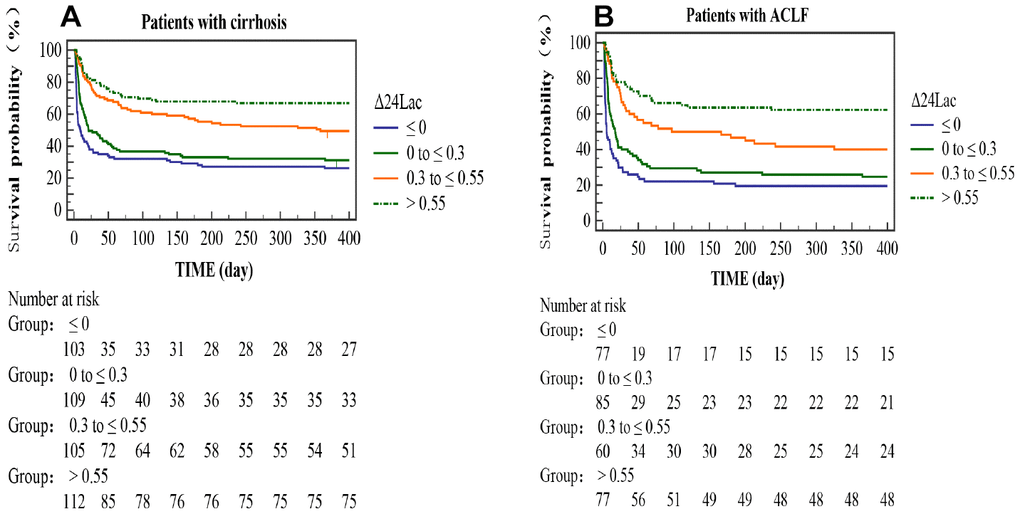 Kaplan-Meier curves stratified by Δ24Lac quartiles. The curves showed different the cumulative survival rates of patients with different Δ24Lac levels. (A): cirrhotic patients. (B): ACLF patients.