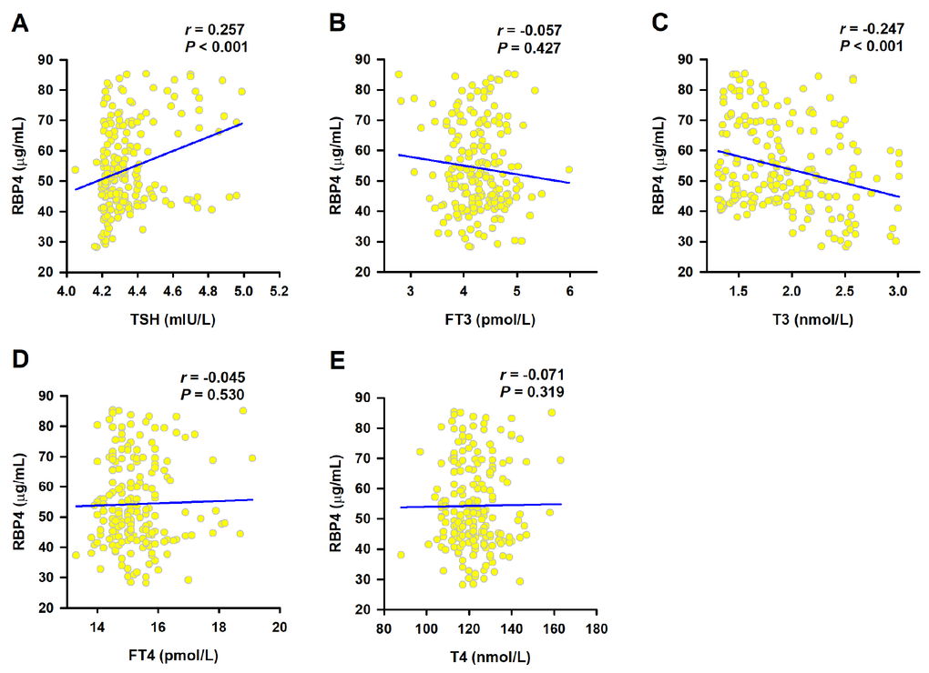 Correlation of serum RBP4 with thyroid function. Spearman correlation coefficient was used to analyze the association of serum RBP4 levels with TSH (A), FT3 (B), T3 (C), FT4 (D) and T4 (E).