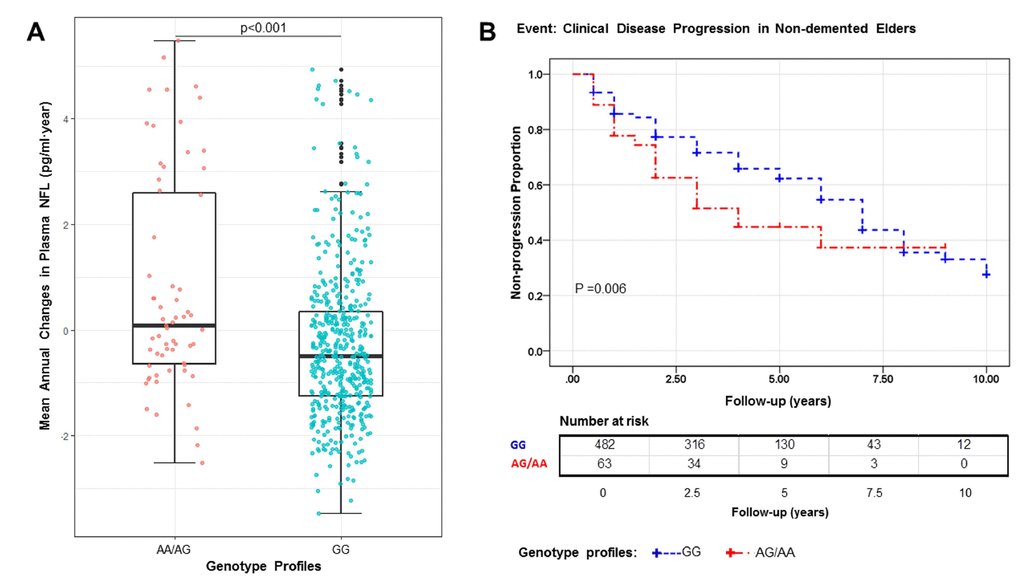 The A allele is associated with a significant increase in plasma NFL (PAPOE4 status (A). Kaplan–Meier survival curves for the probability of clinical disease progression according to different rs16840041 genotypes. Numbers of individuals at risk at each time interval are shown in the table. Survival time was calculated as the interval from the initial baseline evaluation to the clinical disease progression. AG/AA genotype is associated with an increased risk of clinical disease progression (P = 0.006) (B).