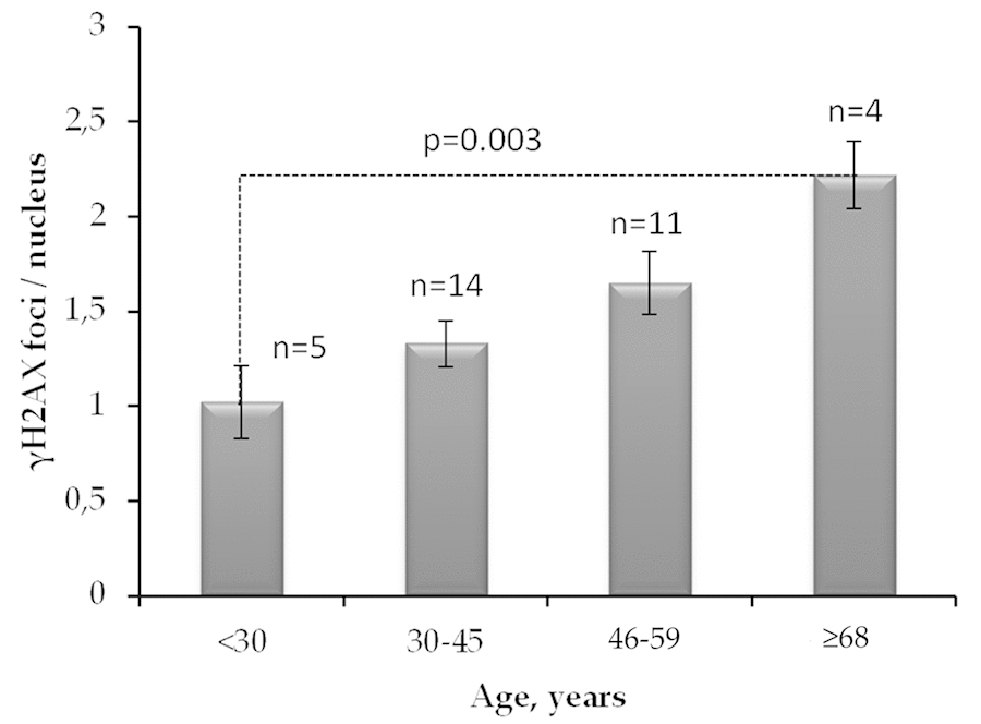 The number of γH2AX foci in quiescent skin fibroblasts of donors of different age groups. The data presented as Mean±SE.