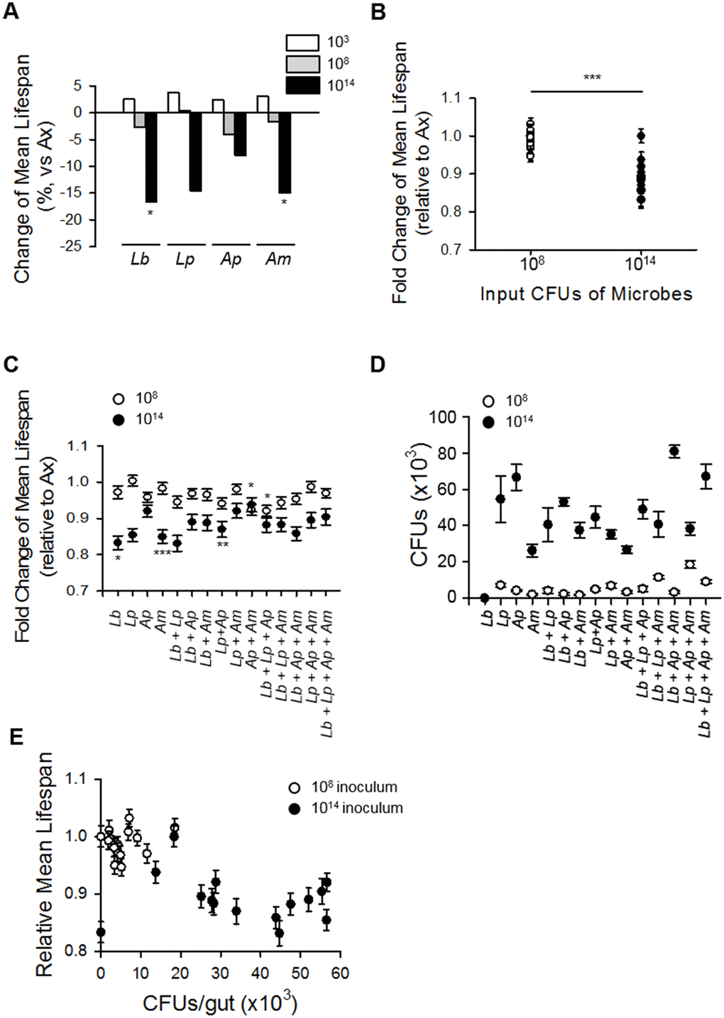 Increased microbial abundance shortens fly lifespan regardless of microbe composition. (A) Change in mean lifespan of Ax flies inoculated with single species of the dominant microbes at 103, 108, or 1014 CFUs. Asterisks indicate significant differences compared to Ax flies. (B) Mean lifespan of flies inoculated with combinations of four dominant microbes at 108 or 1014 CFUs. Asterisk indicates significant differences between 108 CFUs and 1014 CFUs (Spearman’s correlation, rho = −0.79, p C) The mean lifespan of Ax flies inoculated with combinations of four dominant species. Asterisks indicate significant differences compared to Ax flies; all groups with 1014 CFUs are significantly reduced compared to Ax flies (log-rank test, *p p D) The CFUs of Ax flies inoculated with combinations of four dominant microbe species. (E) Mean lifespan of Ax flies inoculated with combinations of four dominant species as functions of the abundance of the colonized microbe. Abundance of microbes and mean lifespan of flies were negatively correlated (Spearman’s correlation, rho = −0.57, p 