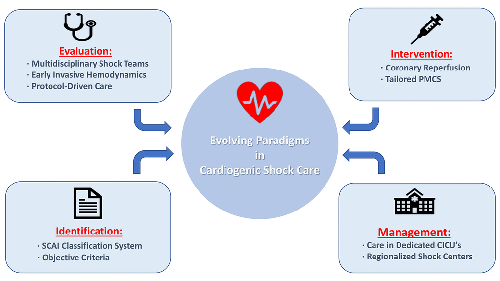 Cardiogenic shock care delivery models emanating from population-based registries.Abbreviations: CICU = cardiac intensive care unit; PMCS = percutaneous mechanical circulatory support; SCAI = Society for Cardiovascular Angiography and Interventions.