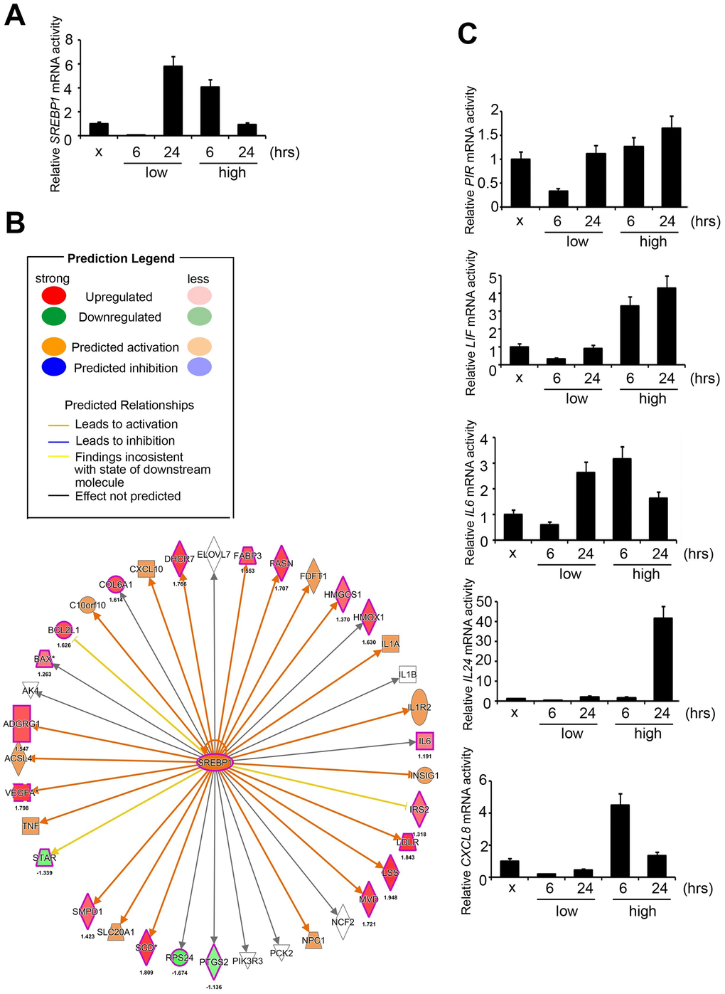 Signatures regulated by PM in HPF models. (A) The mRNA level of SREBP1 after PM treatment. (B) The prediction of SREBP1-network derived from the common signature, by comparison of IPA database with microarray data from HPF cells with a 1.5-fold-change cut-off. The intensity of the node color indicates the degree of activating (orange) or inhibiting (blue) regulation following PM interaction. (C) Several mRNA levels of SREBP1 downstream factors, including PIR, LIF, IL-6, IL-24, and CXCL8, after PM treatment in HPF.