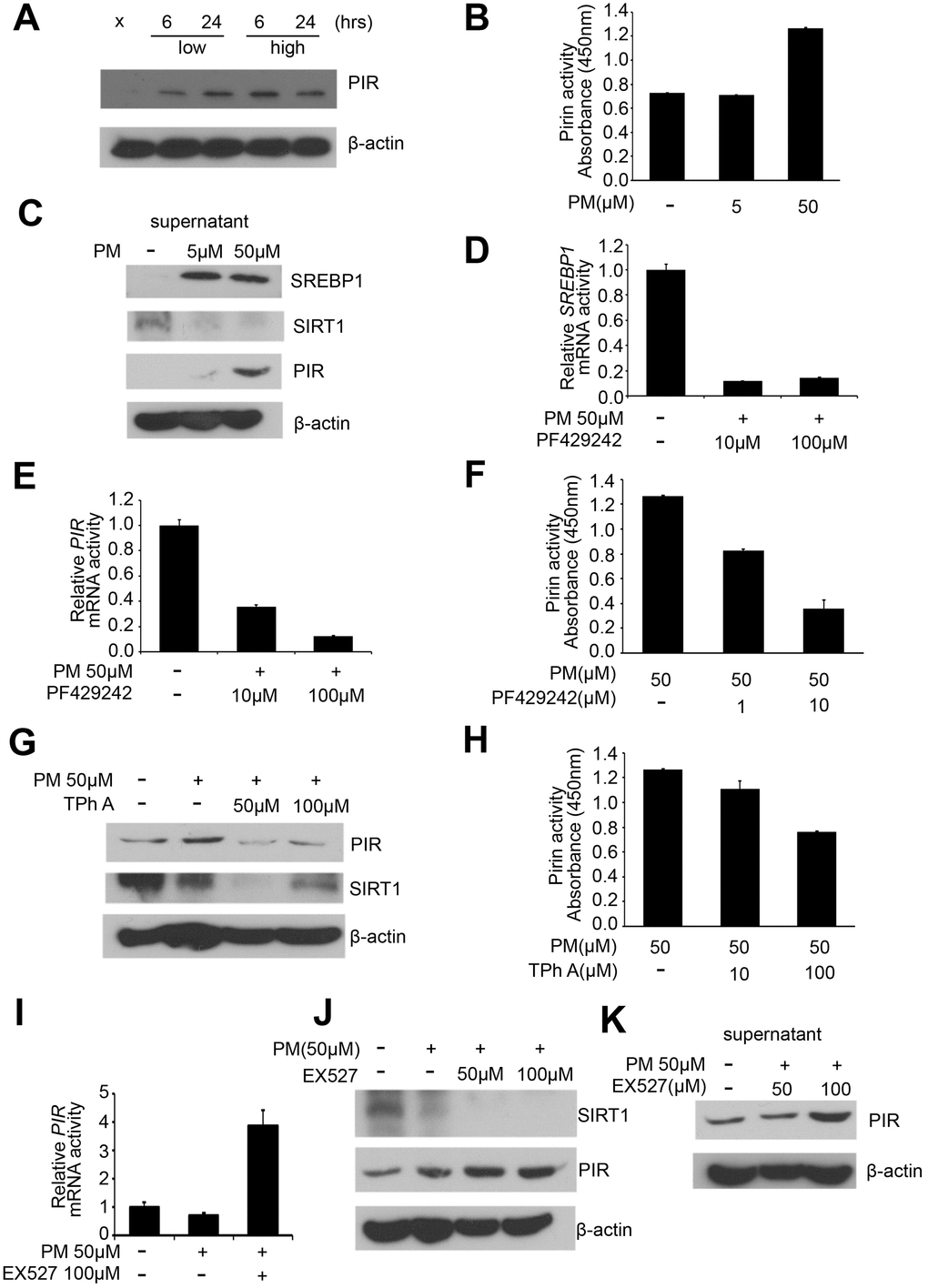 PM exposure is positively correlated with activation of the SREBP1-PIR signaling pathway through SIRT1 downregulation. (A) Western blot analysis of PIR after PM treatment in HPF. (B) PIR activity from cell culture supernatant in PM-induced models. (C) Levels of SREBP1, SIRT1, and PIR were measured from cell culture supernatant of PM-induced models. (D) mRNA levels of SREBP1 in PF429242-PM co-treated HPF models. (E) mRNA levels of PIR in PF429242-PM co-treated HPF models. (F) PIR activity from cell culture supernatant in PF429242-PM co-treated HPF models. (G) Western blot analysis of PIR and SIRT1 in TPh A-PM co-treated HPF models. (H) PIR activity from cell culture supernatant in TPh A-PM co-treated HPF models. (I) mRNA level of PIR in Ex527-PM co-treated HPF models. (J) Western blot analysis of SIRT1 and PIR in Ex527-PM co-treated HPF models. (K) Level of PIR was measured from cell culture supernatant in Ex527-PM co-treated HPF models.