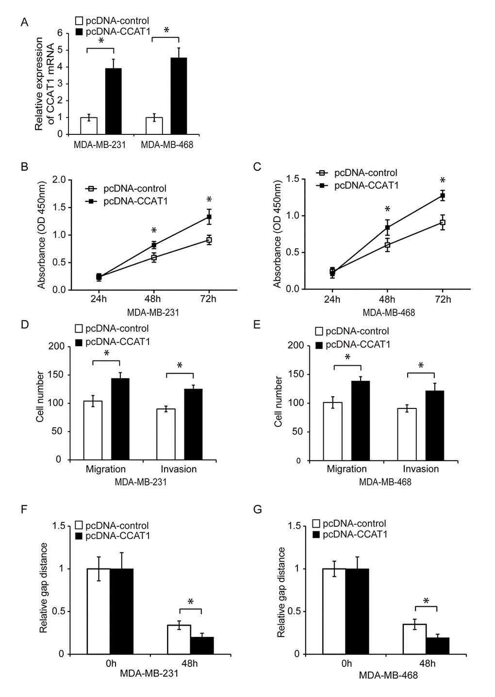 Overexpression of CCAT1 promotes TNBC cell proliferation, migration, and invasion. (A) Quantitative RT-PCR analysis of relative CCAT1 expression in TNBC cells transfected with either pcDNA-CCAT1 or pcDNA-control. (B, C) Analysis of TNBC cell proliferation following transfection with either pcDNA-CCAT1 or pcDNA-control using CCK8 assays. (D, E) Analysis of the migration and invasion capacities of MDA-MB-231 and MDA-MB-468 cells transfected with pcDNA-CCAT1 or pcDNA-control using transwell assays. (F, G) Analysis of the migration capacity of MDA-MB-231 and MDA-MB-468 cells transfected with pcDNA-CCAT1 or pcDNA-control using wound healing assays. *P 