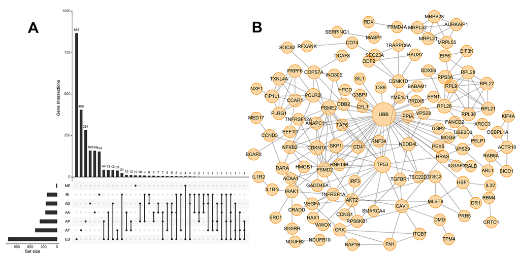 UpSet plot of OS-SEs and gene interaction network in HCC. (A) UpSet plot showing OS-SEs for HCC; (B) Gene interaction network showing all interactions between genes corresponding to the 500 most significant OS-SEs in HCC.