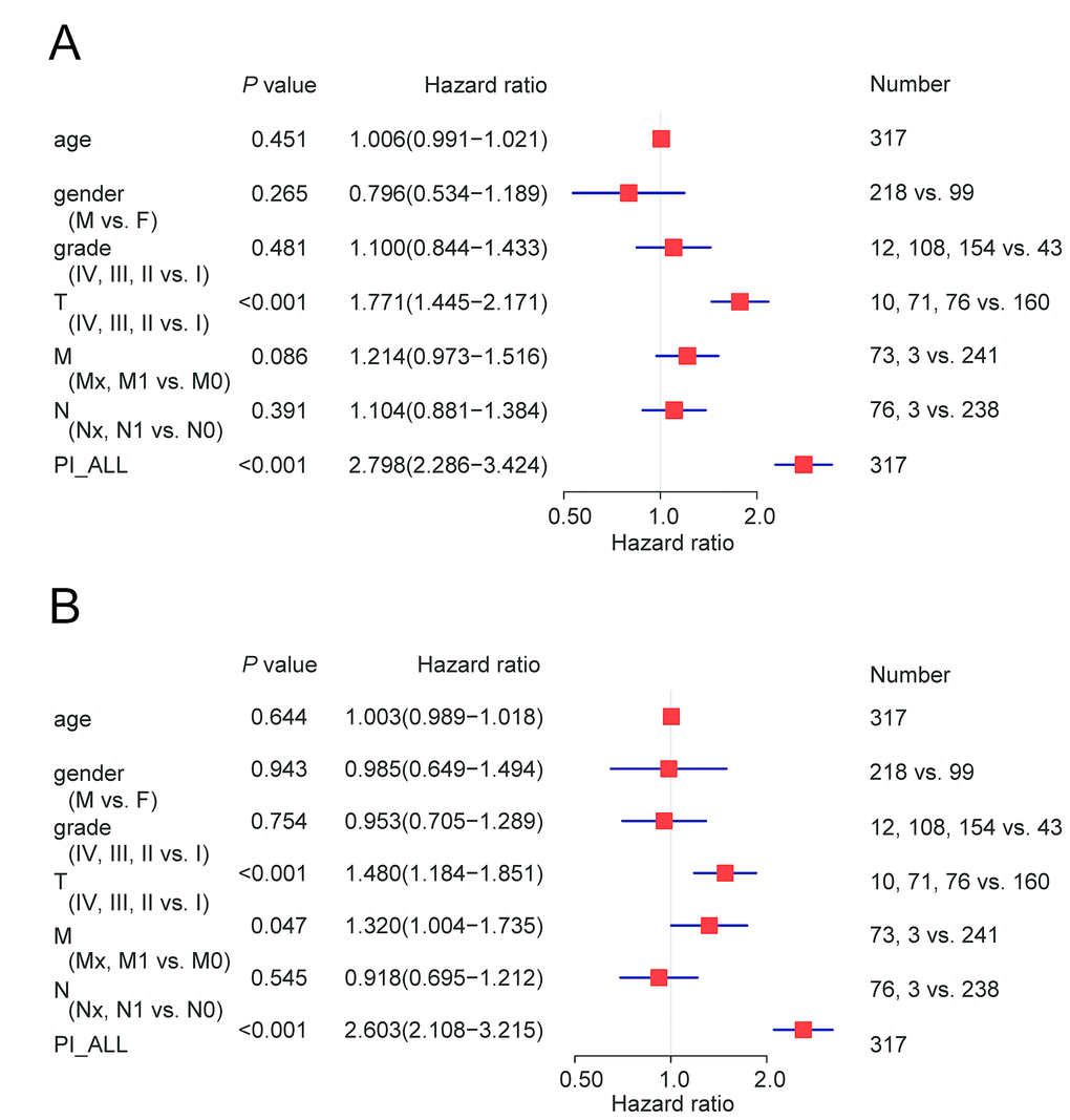 Cox regression analysis of OS-associated clinical features PI-ALL. (A) Univariate analysis; (B) Multivariate analysis.