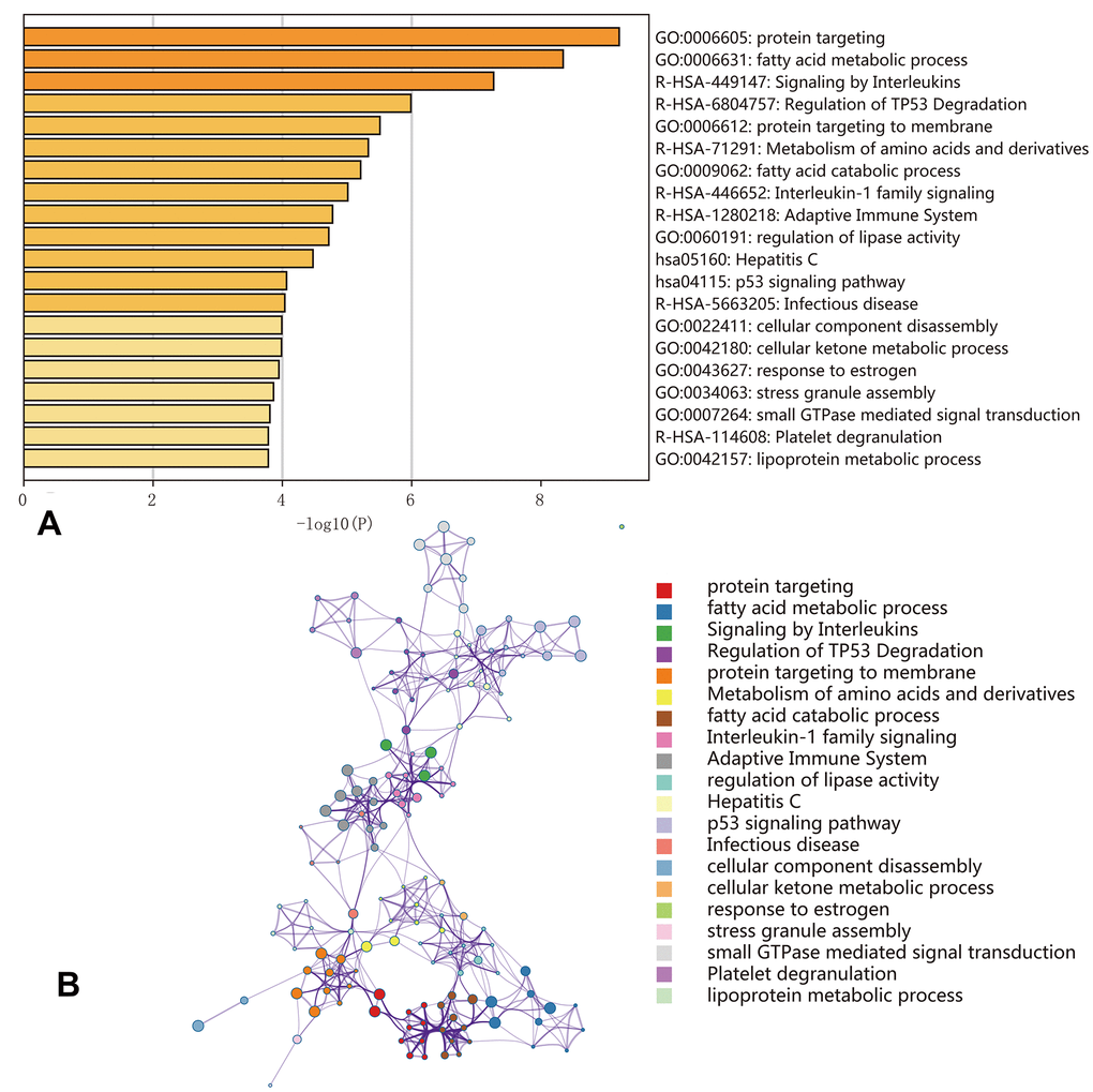 Enrichment analyses of the genes corresponding to the 500 most significant OS-SEs. (A) Bar graph showing the top 20 results from the enrichment analysis; (B) Enrichment analysis showing the gene networks and enrichment of various pathways. Colors correspond to different cluster IDs.