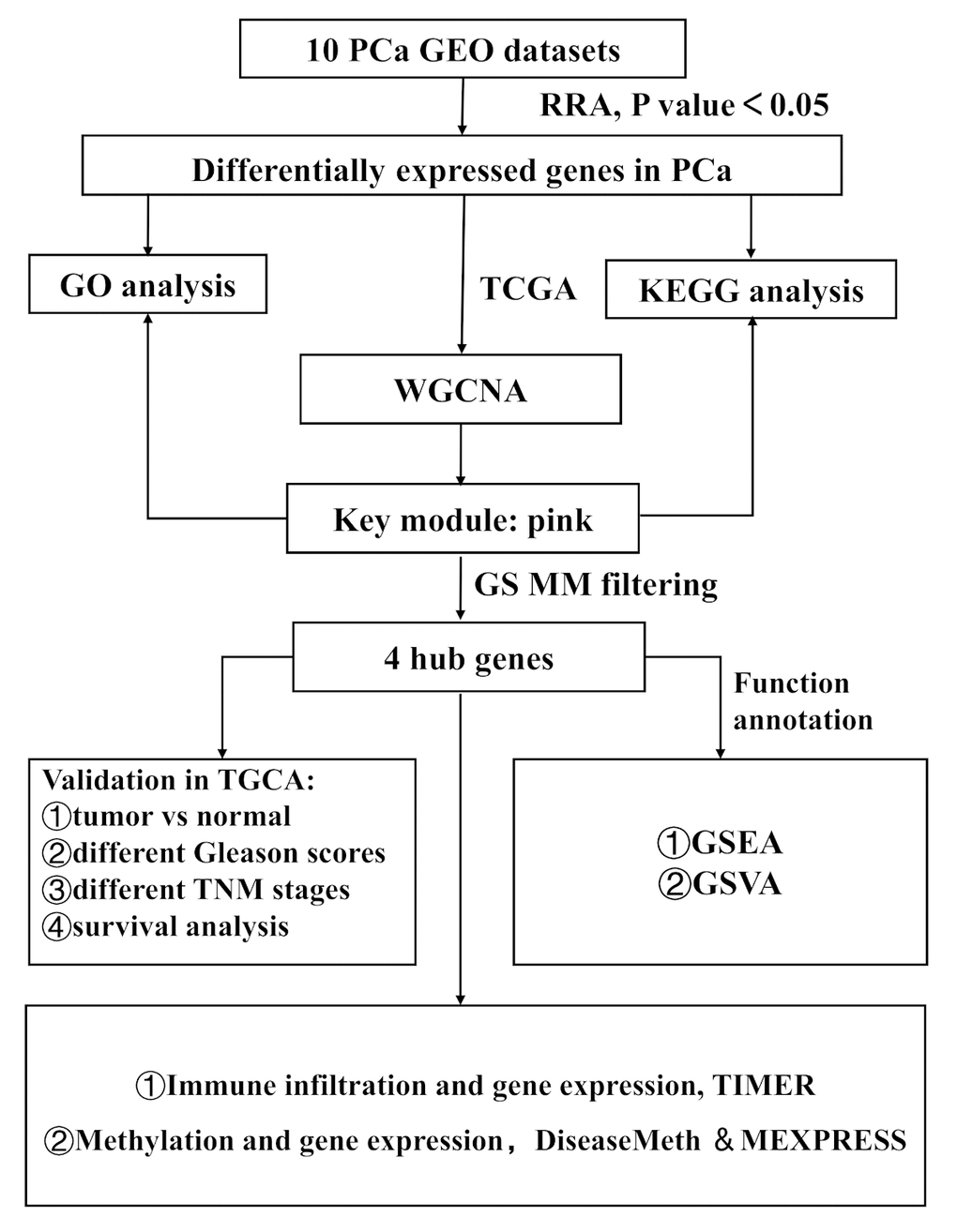 Study workflow. GEO, Gene Expression Omnibus; TCGA, The Cancer Genome Atlas; GO, Gene Ontology; KEGG, Kyoto Encyclopedia of Genes and Genomes; WGCNA, Weighted Gene Co-expression Network Analysis; GS, gene significance; MM, module membership; TNM, Tumor Node Metastasis; GSEA, Gene Set Enrichment Analysis; GSVA, Gene Set Variation Analysis.