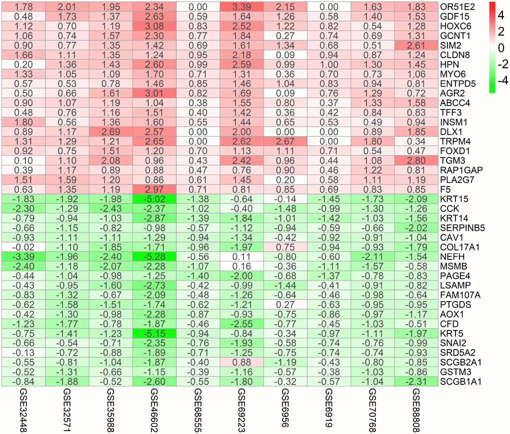 Identification of robust DEGs by RRA analysis. Heatmap showing the top 20 up-regulated genes and top 20 down-regulated genes according to P value. Each row represents one gene and each column indicates one dataset. Red indicates up-regulation and blue represents down-regulation. The numbers in the heatmap indicate logarithmic fold change in each dataset calculated by the “limma” R package. DEG, differentially expressed gene; GEO: Gene Expression Omnibus; RRA: robust rank aggregation.