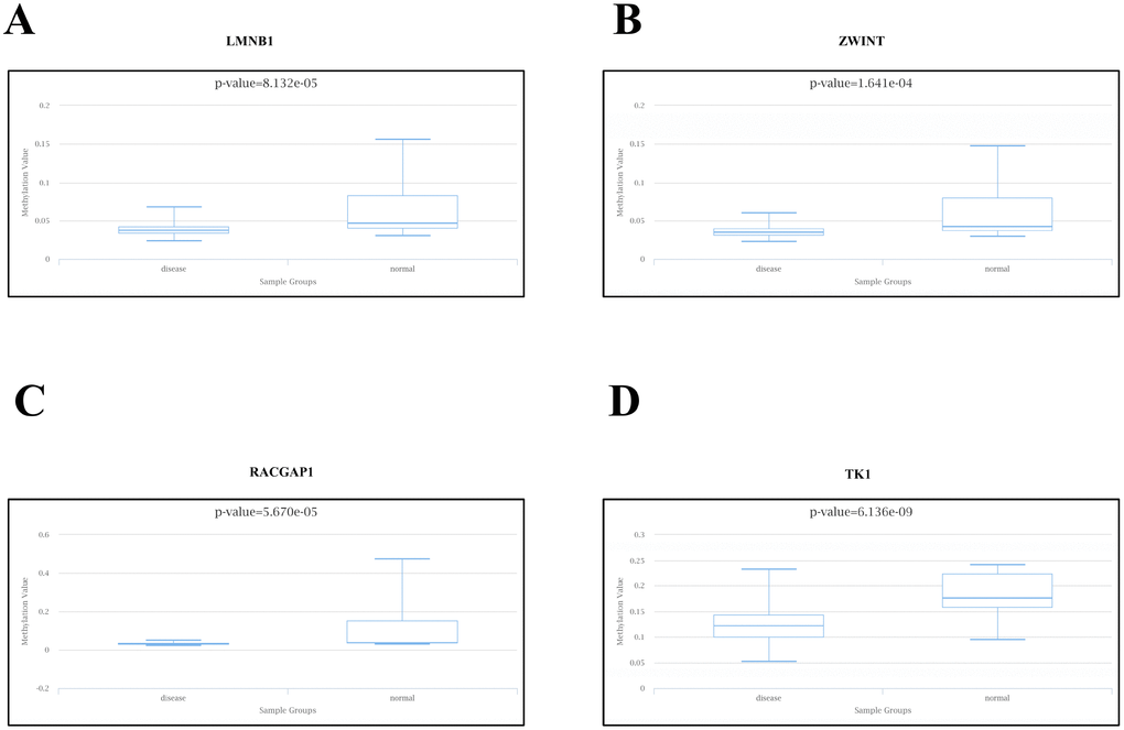 Methylation analyses of PCa hub genes. The methylation levels of (A) LMNB1, (B) ZWINT, (C) RACGAP1, and (D) TK1 in PCa and peri-tumoral normal tissues were examined using DiseaseMeth 2.0.