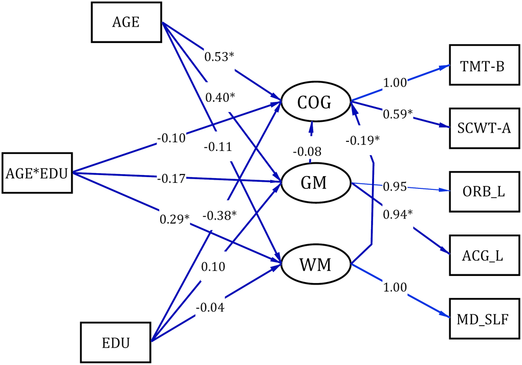 The structural equation modeling of the relation among white matter, grey matter and cognition. COG= Cognitive Tests; GM=gray matter; WM=white matter; ORB