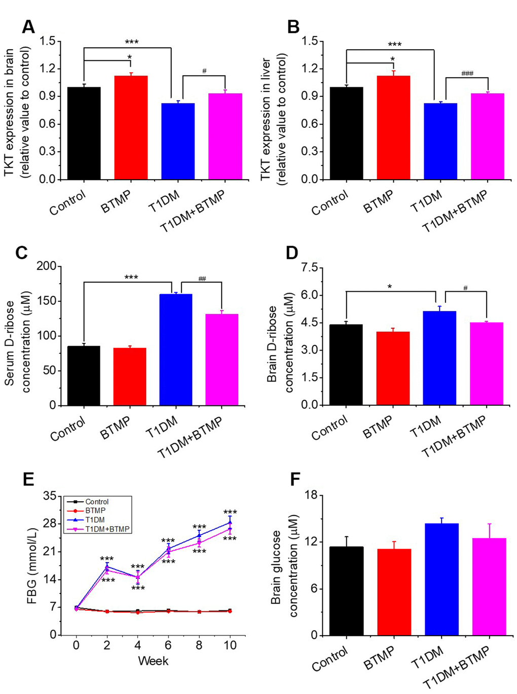 Effect of benfotiamine (BTMP) on the levels of D-ribose, D-glucose and TKT in T1DM rats. Conditions for the preparation of T1DM rats are shown in Figure 1. Male rats (6-8 weeks) were divided into four groups as follows: T1DM rats were gavaged with benfotiamine (BTMP, 300 mg/kg bw, once daily) dissolved in carboxymethylcellulose (CMC) (90) (T1DM+BTMP, n=20); T1DM rats were gavaged with CMC (T1DM, n=20); normal SD rats were gavaged with CMC (Control, n=10) and BTMP (n=10) as negative and positive controls, respectively. The expression levels of transketolase (TKT) in the brain (panel A) and liver (panel B) were measured with ELISA kits. After 10 weeks of domestication, D-ribose levels in the serum (panel C) and brain (panel D) of rats were measured, and D-glucose levels were measured in the brain (panel F). Fasting blood glucose (FBG) was measured every other week (panel E). “*” compared to the control group. “#” represents the difference between the T1DM and T1DM+BTMP groups. All values are expressed as the mean ± S.E.M. *, P P P P P 