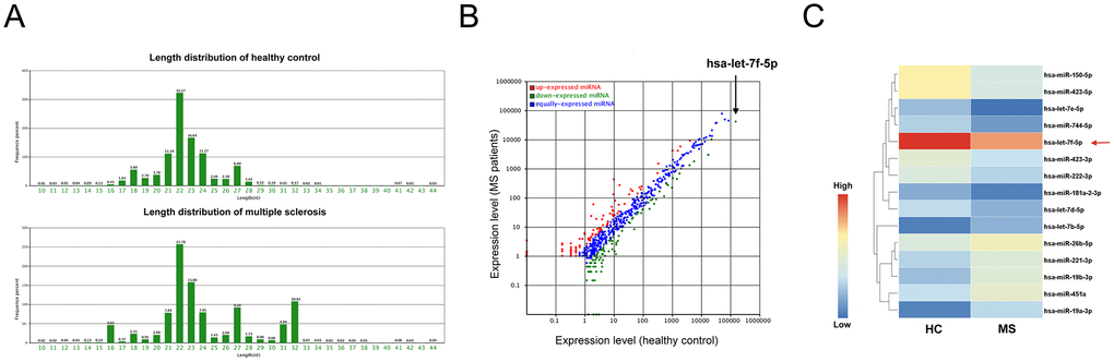 MiRNA expression profiling of peripheral blood CD4+ T cells from MS patients and healthy controls. (A) The lengths of small RNAs from the two pooled samples from the multiple sclerosis (MS) patients and healthy controls (HC). (B) Significant alterations were observed between the miRNA expression profiles of the MS patients and healthy controls. (C) Heat map of the significantly altered miRNAs (sequencing reads > 200 and fold-change > 2) obtained from Illumina high-throughput sequencing.