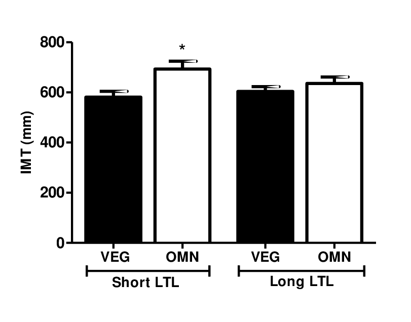 Carotid IMT level in relation to short and long telomere length. Data are presented as median and standard error. Omnivorous with short telomere length had higher carotid IMT compared to vegetarians. Significant at *P compared to omnivorous with short LTL (ANOVA, Kruskal-Wallis test, GraphPad Prism software).