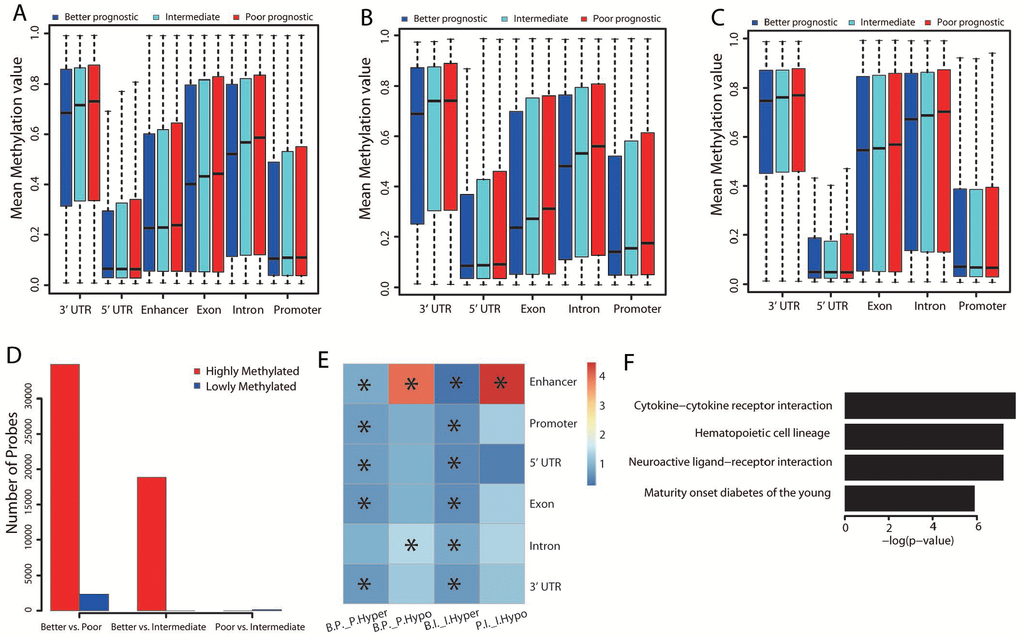 Methylation differences among the three groups. (A) Distribution of the mean beta values of probes across different genomic regions. The mean beta values of probes annotated to genes that were upregulated (B) or downregulated (C) in the better prognostic group versus the poorer prognostic group across different genomic regions are also shown. (D) Distribution of numbers of significantly methylated probes for each group comparison. (E) Genomic region enrichment of differentially methylated probes. We calculated the number of differentially methylated probes, along with the total number of probes on the bead array in each genomic region. Fisher’s exact test was used to test the enrichment. The heatmap displays the odds ratio, and the asterisks mark the significance (adjusted P value ≤ 0.001). “B.P.