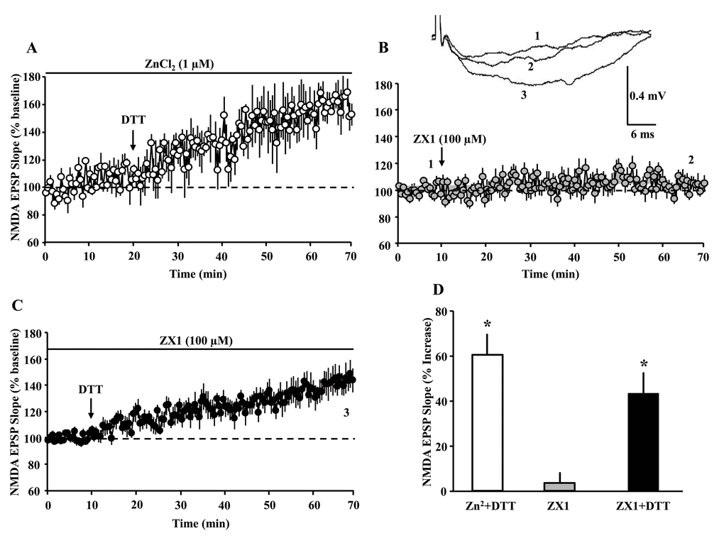 The DTT-induced potentiation of the NMDAR-synaptic response is not due to zinc chelation. The panels A-C illustrate the time course for the NMDAR-fEPSP slope; each point represents the mean (±SEM), normalized to the baseline (dashed line). (A) The arrow indicates the time of bath application of DTT (0.5 mM) in presence of ZnCl2 (1 µM). (B) The arrow indicates the time of bath application of ZX1 (100 µM). (C) The last ten min of NMDAR-fEPSP slope recording in presence of ZX1 was renormalized and DTT was added (arrow). (D) Bar graph represents the mean (+SEM) percent change in NMDAR-mediated fEPSP during the last 5 min of recording, in response to Zn2+ plus DTT (open bar, n = 3/3 slices/animals), ZX1 alone (gray bar, n = 11/6 slices/animals,) and ZX1 plus DTT (filled bar, n = 11/6 slices/animals). Asterisks indicate significant potentiation relative to baseline.