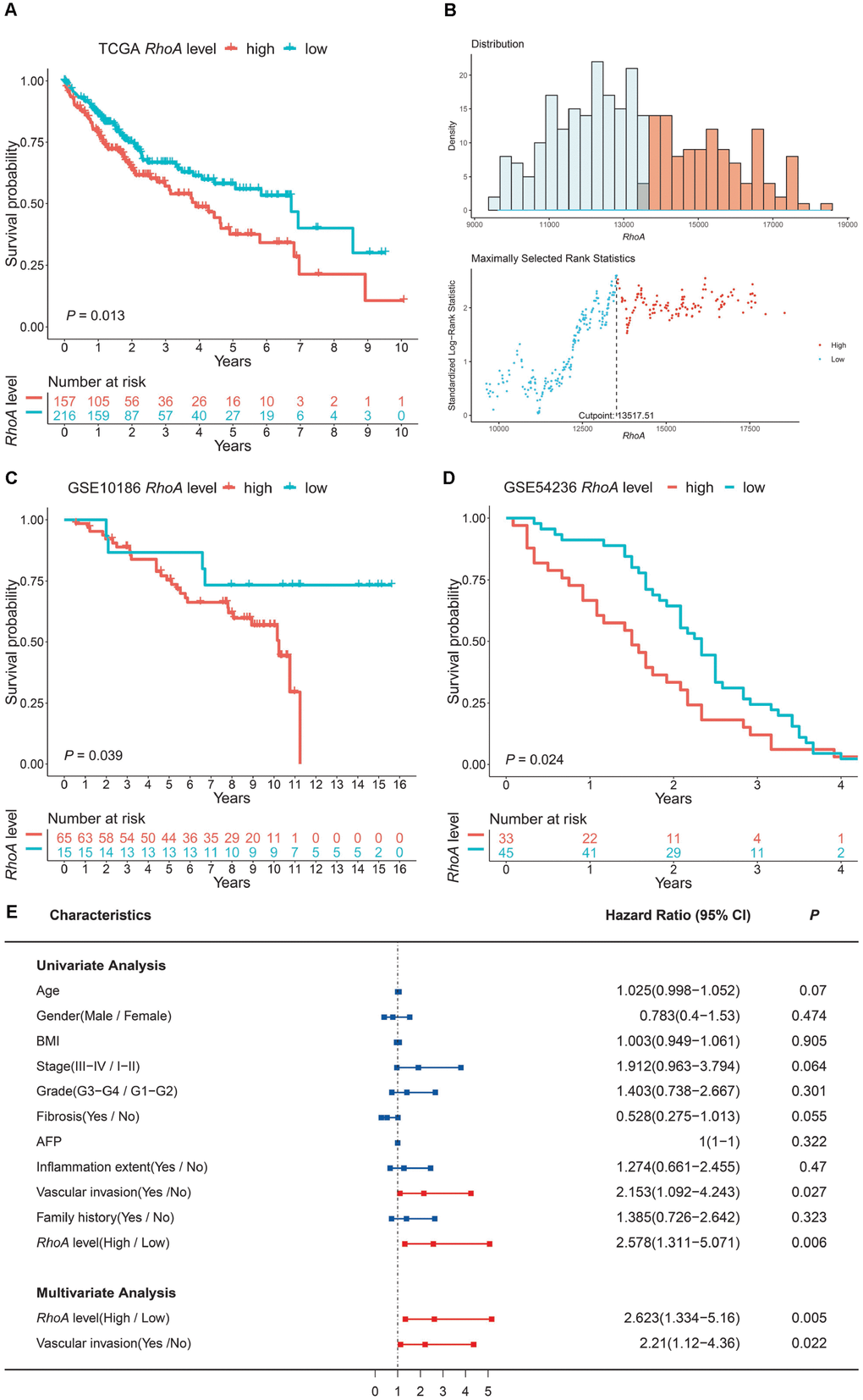 RhoA expression level as an independent prognostic factor in HCC. The high expression level of RhoA suggests poor prognosis based on the TCGA training set (A), and the optimal cutoff point was calculated via the X-tile method (B). High RhoA expression levels were also unfavorable in two GEO validation sets (C, GSE10186; D, GSE54236). Univariate and multivariate Cox regression analyses of clinical indicators and RhoA levels related to prognosis: red bars represent prognostic factors, and blue bars represent nonprognostic factors (E).