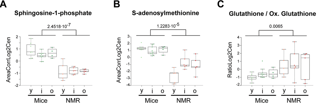 Selected metabolic alterations in naked mole-rats. Statistical comparisons were calculated by means of a two-sided Wilcoxon test. P-values are indicated.