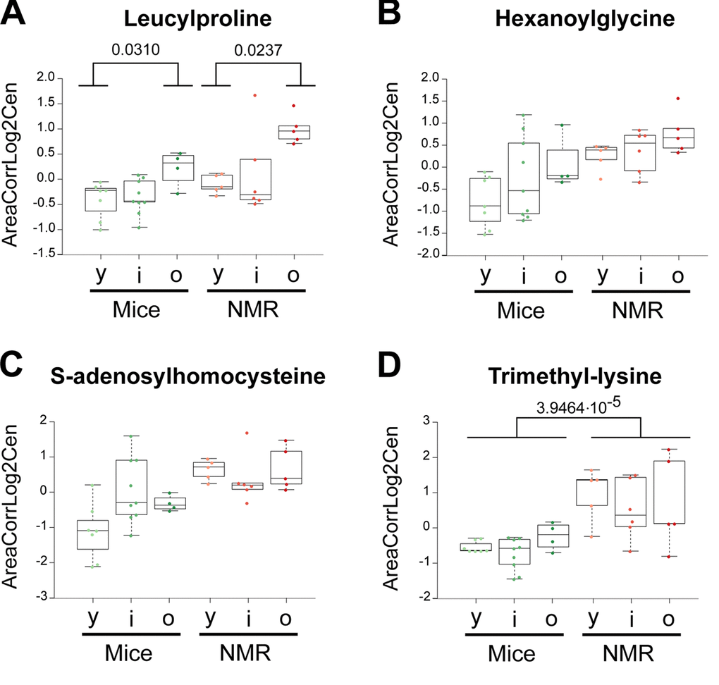 Amino acid derivatives that are elevated in naked mole-rats. Statistical comparisons were calculated by means of a two-sided Wilcoxon test. P-values are indicated.