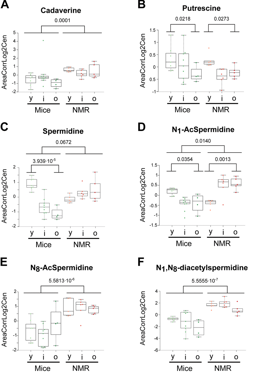 Influence of age and species differences on the abundance of polyamines and polyamine metabolites. Statistical comparisons were calculated by means of a two-sided Wilcoxon test. P-values are indicated.