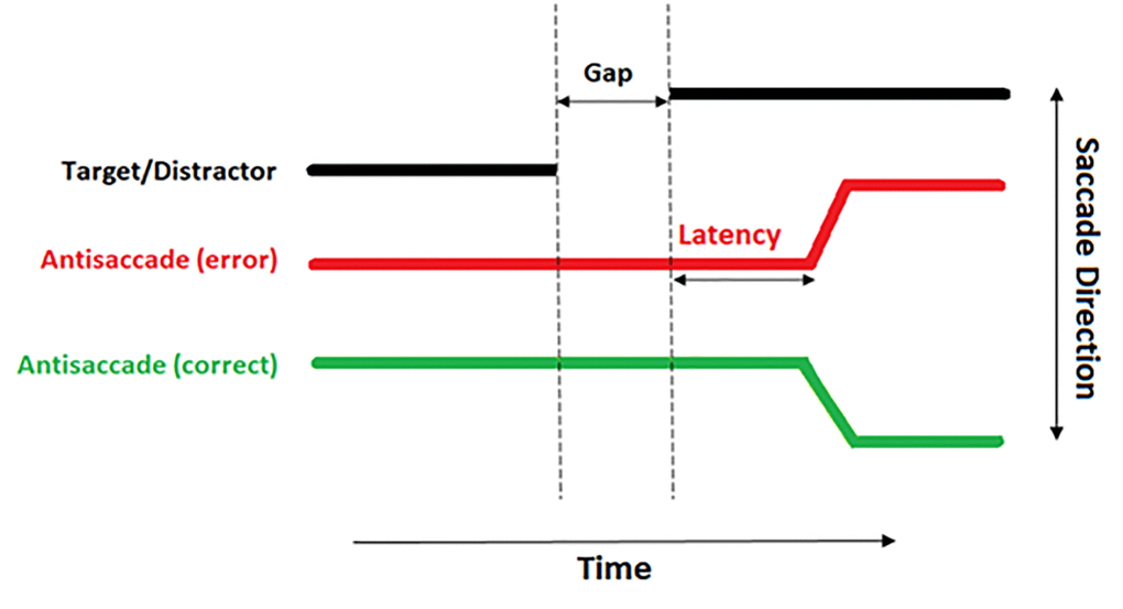 A diagrammatical representation of an antisaccade trial. The thick black line demonstrates the location of the distractor. The red line demonstrates the eye incorrectly moving toward the distractor. The green line demonstrates a correct antisaccade away from the distractor.