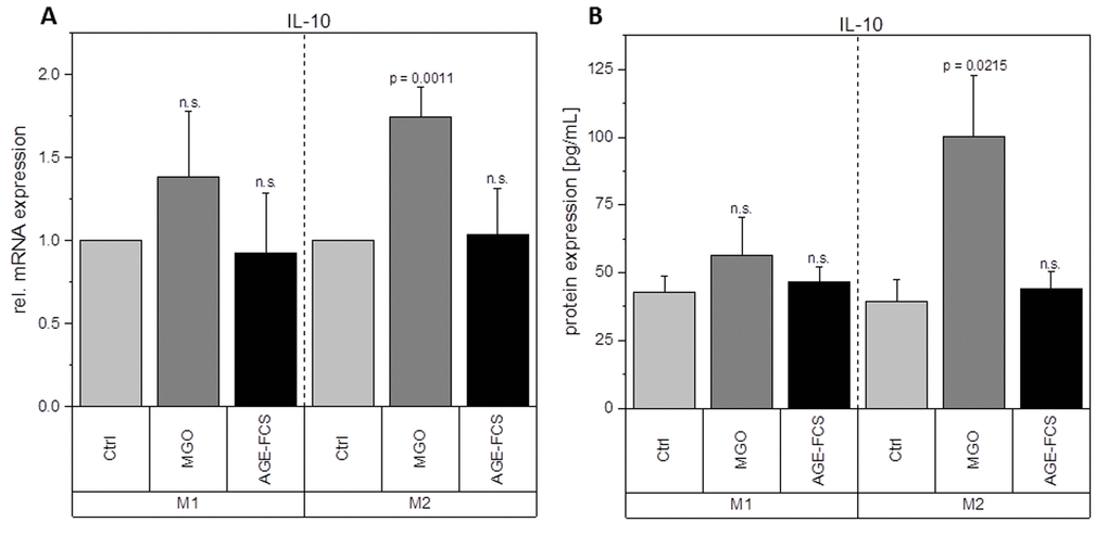 Expression of IL-10 after glycation. THP-1 macrophages were glycated with 1 mM MGO or treated with 10% AGE-FCS and polarized in M1 or M2 phenotype. Expression of IL-10 was quantified using qPCR (A). Data was normalized to untreated control cells. Graph shows average mean of relative mRNA expression + SD of 3 independent experiments. Protein secretion of IL-10 was quantified in the cell supernatant using cytometric bead array (B). Graph shows average mean of IL-10 concentration (in pg/mL) + SD of 3 independent experiments.